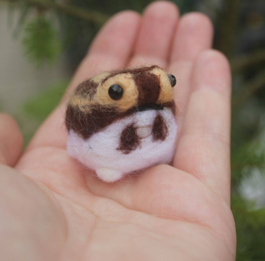 A small rain frog sits upon a hand, it is dark brown with light brown accents. It has a white bottom half and a black mouth and eyes