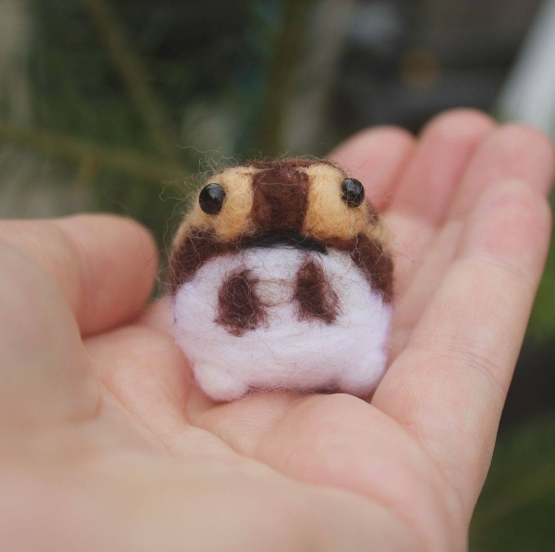 A small rain frog sits upon a hand, it is dark brown with light brown accents. It has a white bottom half and a black mouth and eyes