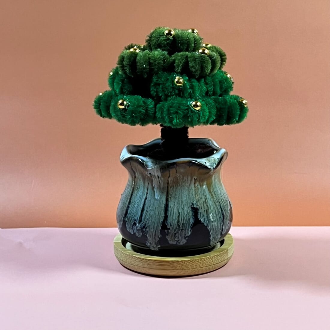 Mini Money Tree in Ceramic Pot with Bamboo Base