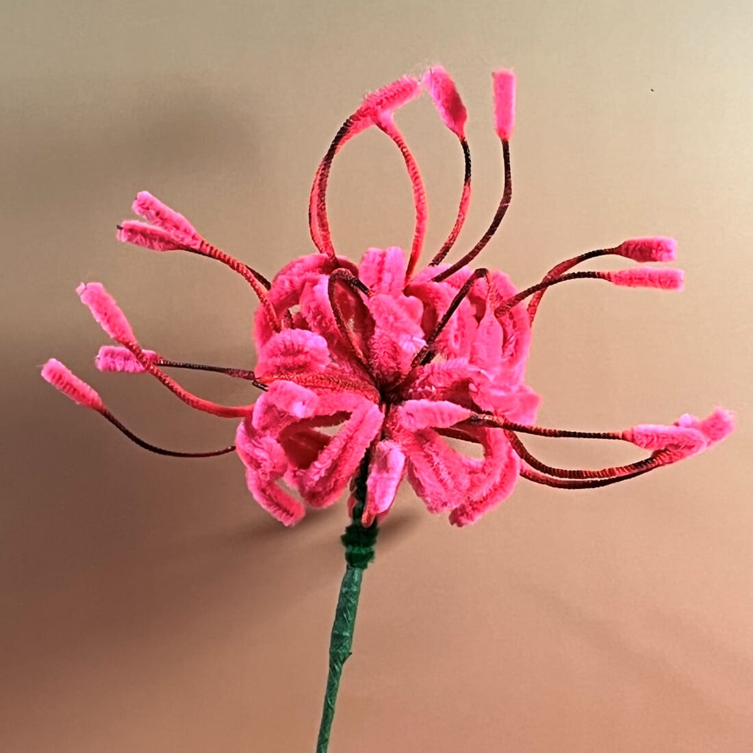 Fuzzy Wire Spider Lily Stem - Vibrant Colours - 8x8x8cm Head Size - Image 2