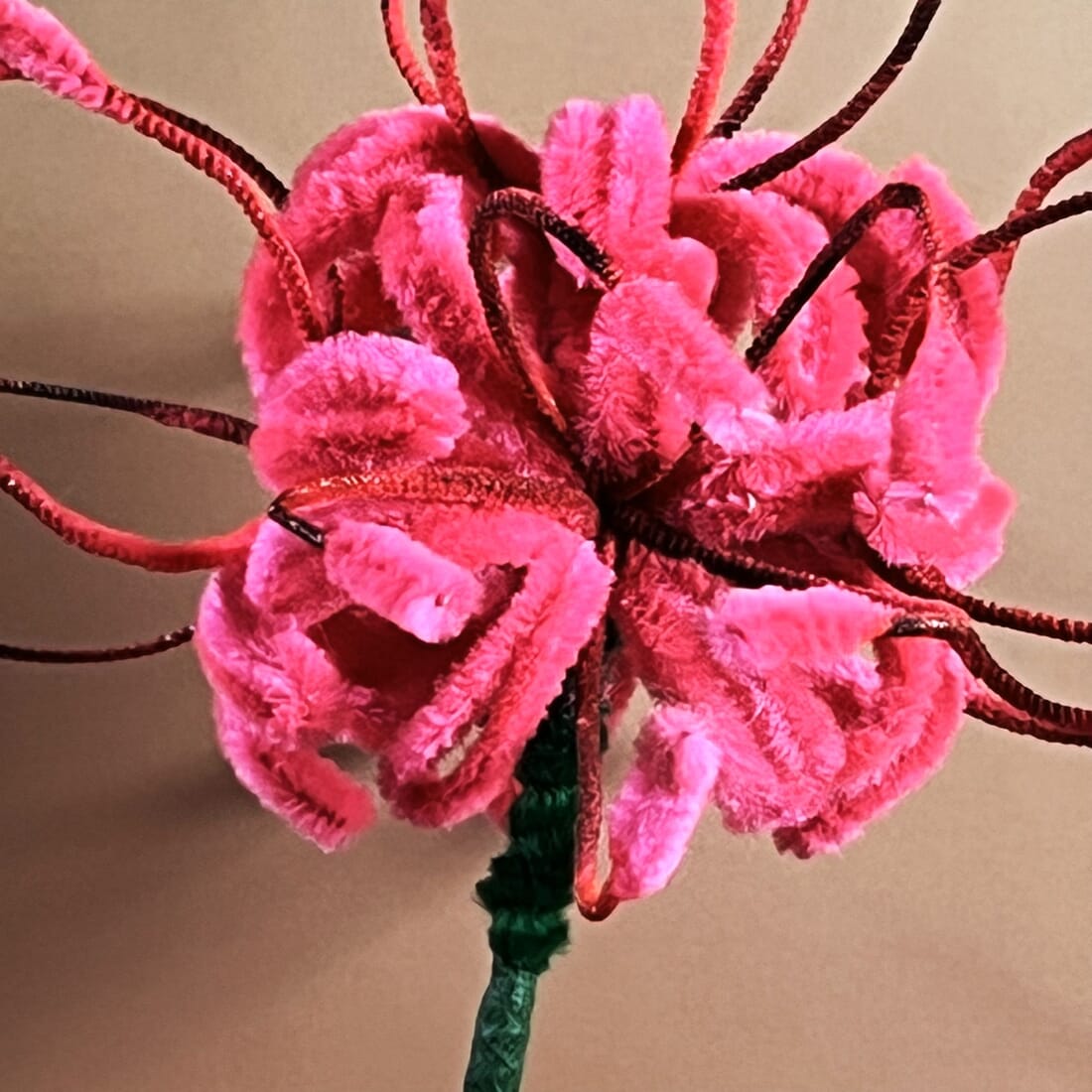 Fuzzy Wire Spider Lily Stem - Vibrant Colours - 8x8x8cm Head Size - Image 3