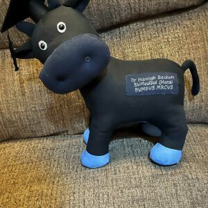 Personalized Tilted Head Calf Memory Softie – Handcrafted Keepsake