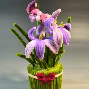 Potted Iris & Daisy Arrangement
