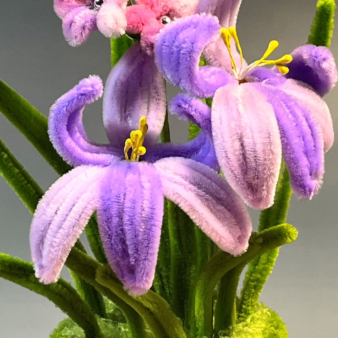 Potted Iris & Daisy Arrangement - Image 4