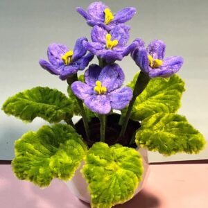 Premium Potted Fuzzywire Violets