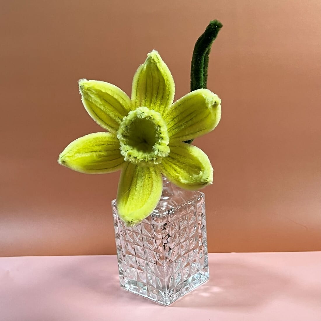 Vibrant Daffodil Flowers in Various Colour Combinations