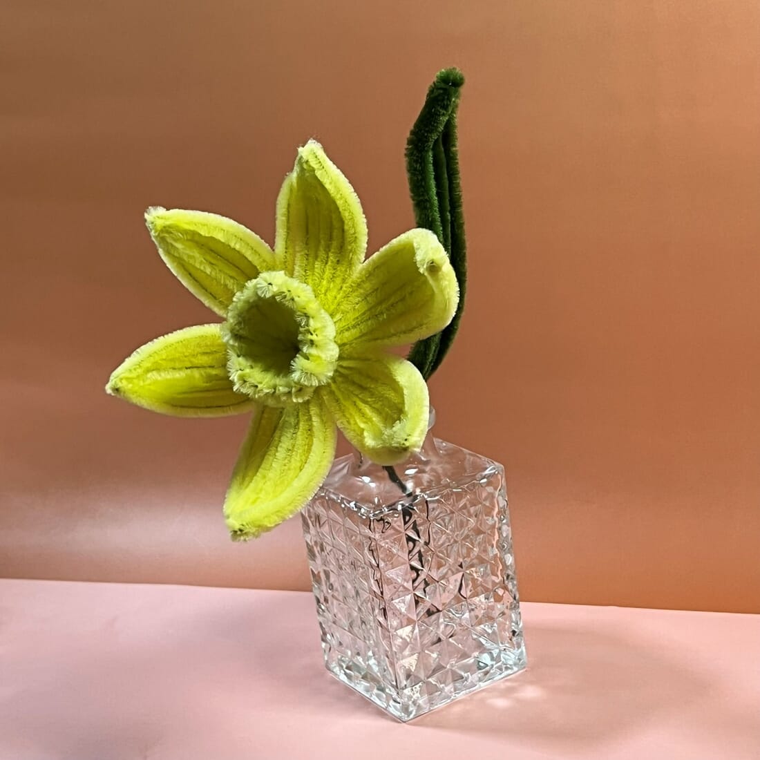 Vibrant Daffodil Flowers in Various Colour Combinations - Image 2