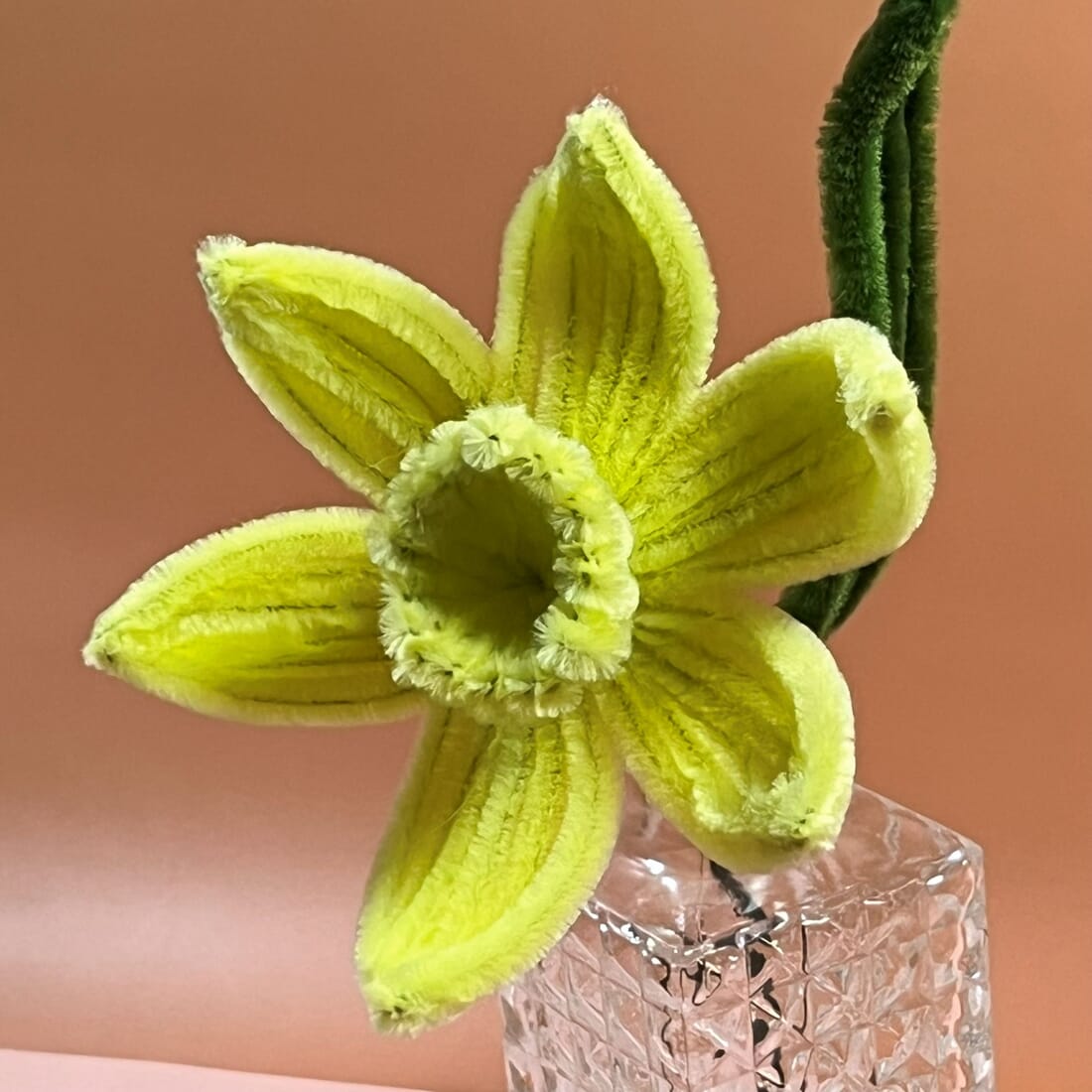 Vibrant Daffodil Flowers in Various Colour Combinations - Image 3
