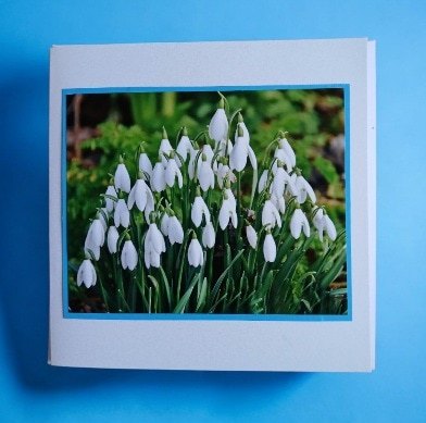 Greetings card.'Spring snowdrops.All proceeds to The Stroke Association