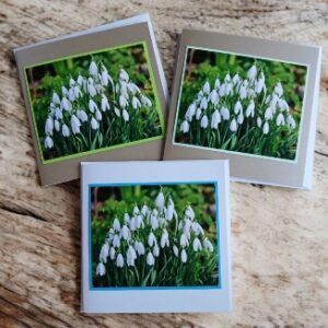 A set of 3 ‘Spring snowdrops’ greetings cards.All proceeds to The Stroke Association