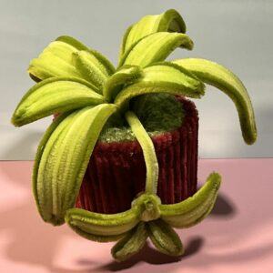 Fuzzywire Potted Spider Plant with Spiderette