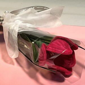 Wrapped Medium & Large Single Stem Open Tulip