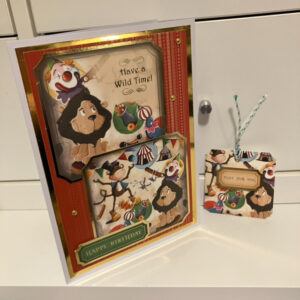 A5 Circus Theme Birthday Card with Co-ordinating Gift Tag and envelope
