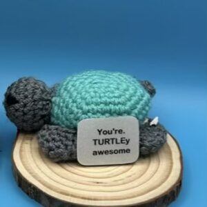 Colorful Wooden Circle Turtle Positive Buddy Mount