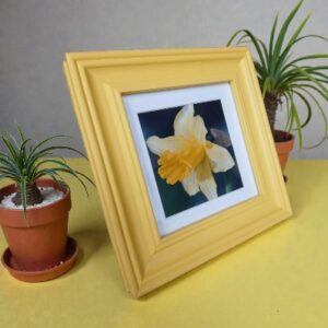 A framed photographic picture of a ‘Spring daffodil’. All proceeds to The Stroke Association