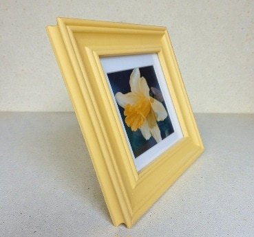 A framed photographic picture of a 'Spring daffodil'. All proceeds to The Stroke Association - Image 3