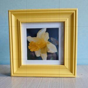 A framed photographic picture of a ‘Spring daffodil’. All proceeds to The Stroke Association