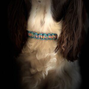 Bespoke Paracord Dog Collar
