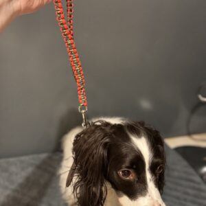 Custom Paracord Dog Lead – Handmade Bespoke Design
