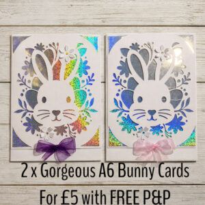 Pack of 2 gorgeous Easter Bunny Cards. A6 Cards with envelopes