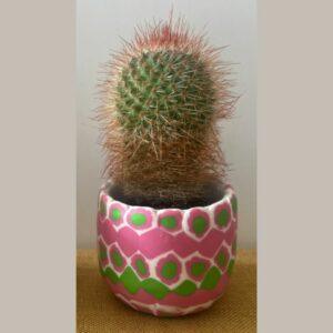 Handmade Patterned Polymer Clay Cactus Pot with Live Cactus – Colourful Mini Plant Pot for Desk Decor, Small Spaces and Moments of Joy Gift Sets