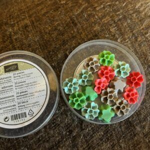 Stampin’ UP! 2015-2017 In Color Blossom Accents