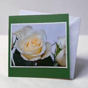Greetings card. White rose.All proceeds to The Stroke Association.