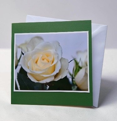 Greetings card. White rose.All proceeds to The Stroke Association.