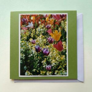 Greetings card. Spring collection.All proceeds to The Stroke Association.