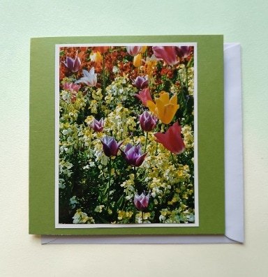 Greetings card. Spring collection.All proceeds to The Stroke Association.