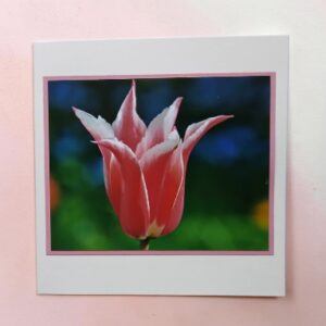 Greetings card. Red tulip. All proceeds to The Stroke Association.