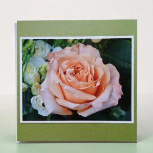 Greetings card.Peach rose.All proceeds to The Stroke Association.