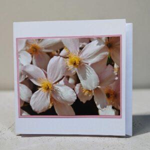 Greetings card. Pink clematis. All proceeds to The Stroke Association.