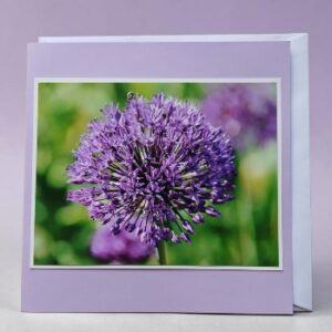 Greetings card. Allium.All proceeds to The Stroke Association.