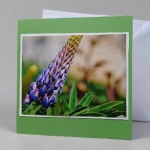 Greetings card. Lupin.All proceeds to The Stroke Association.