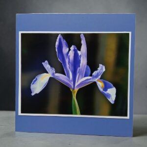 Greetings card. Iris.All proceeds to The Stroke Association.