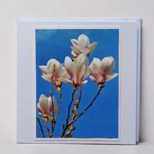 Greetings card. Magnolia.All proceeds to The Stroke Association.