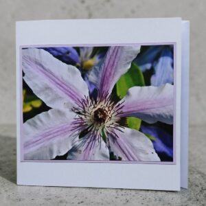 Greetings card. Clematis.All proceeds to The Stroke Association.