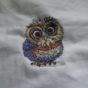 5 Quirky Funny Birds Design for Tote Bags, Cushion Covers, and Small Accessories