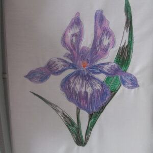 Stunning Iris Flower Tote Bag & Cushion Cover Set