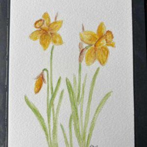 Delightful Daffodils