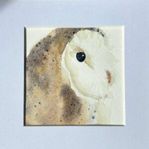 Barn Owl : Mounted Original
