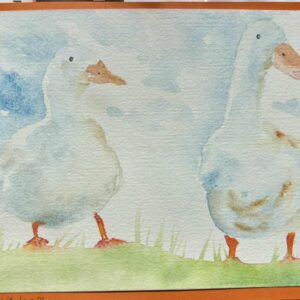 Totally Quackers : A5 size blank greetings card