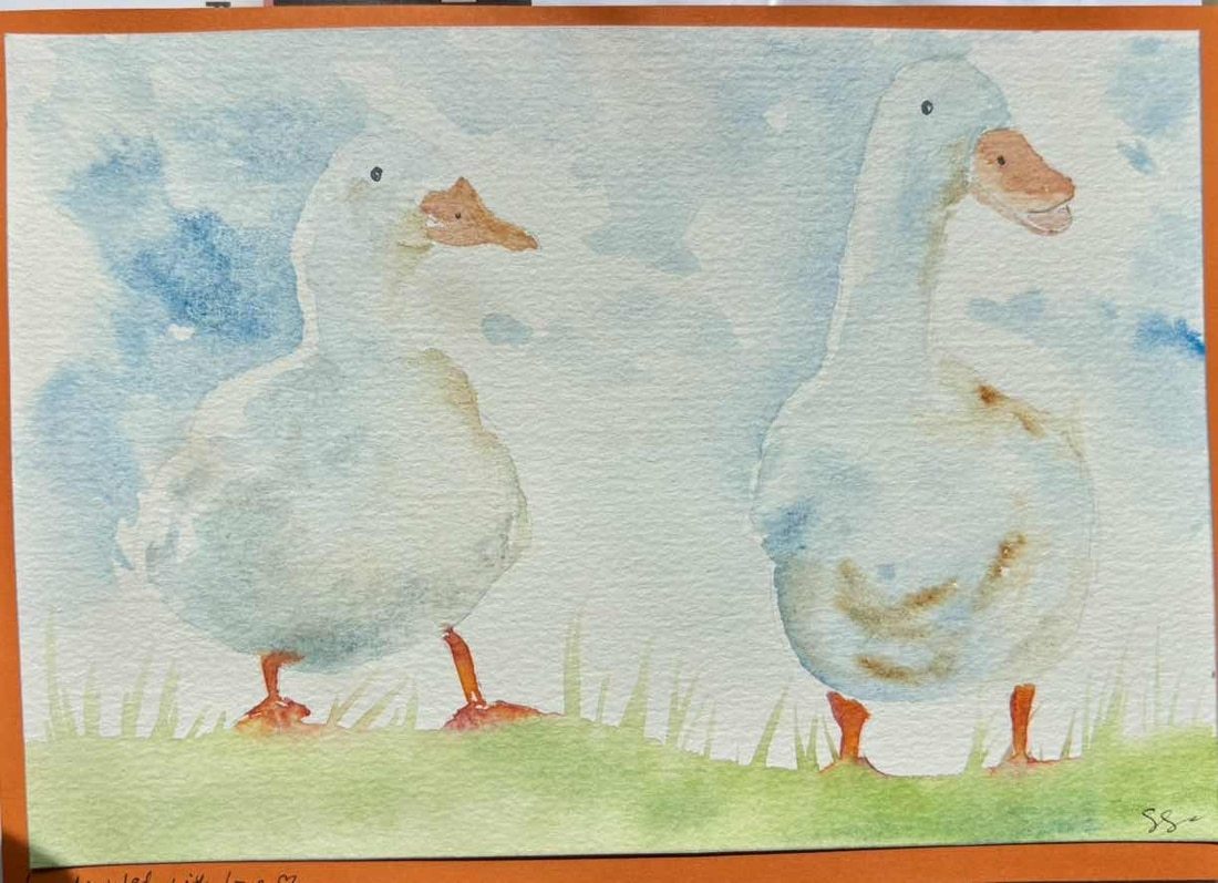 Totally Quackers : A5 size blank greetings card