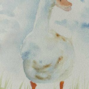 Totally Quackers : A5 size blank greetings card
