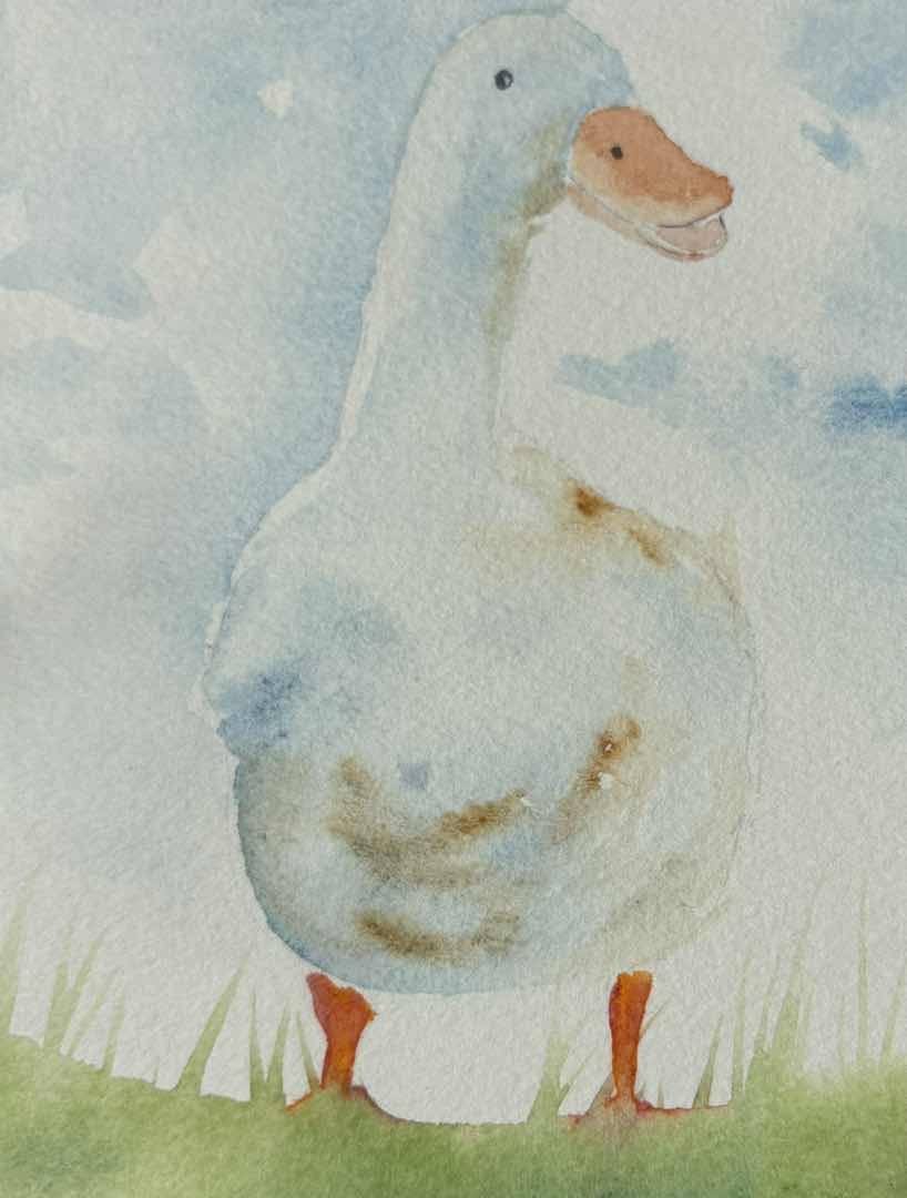 Totally Quackers : A5 size blank greetings card - Image 2