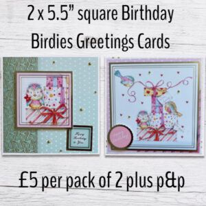 Pack of 2 Birthday Birdies 5.5” square Greetings Cards with envelopes