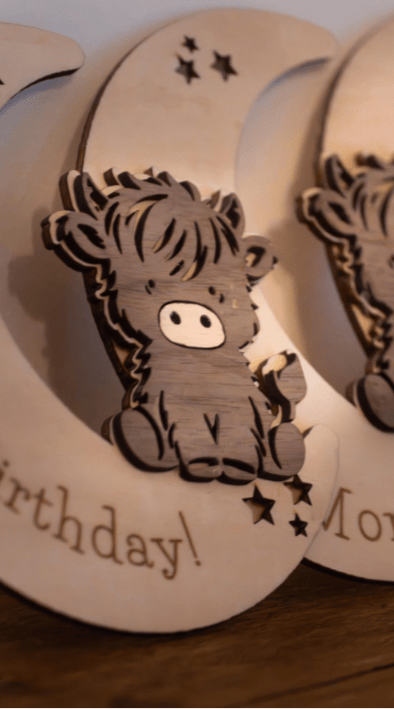 Baby Milestone Discs | Highland Cow Wooden Photo Props | New Baby Gift | Nursery Milestone Set - Image 3