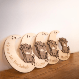 Baby Milestone Discs | Highland Cow Wooden Photo Props | New Baby Gift | Nursery Milestone Set