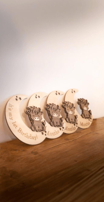 Baby Milestone Discs | Highland Cow Wooden Photo Props | New Baby Gift | Nursery Milestone Set - Image 2